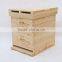 Beekeeping Tool import Fir Wood two level Beehive for Beekeeping,Apiculture equipment,ten Frame Beehive