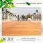 New type outdoor flooring,water-resisitant and pest-resisitant outdoor flooring