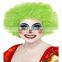 Multi Color Afro Wig Clown Disco Circus Costume Curly Hair Wig Adult Child
