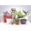 Self-water flower pots,plastic painting flowerpot,pot