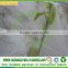 100% PP spunbond nonwoven fabric for green house plants and garden flower