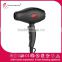 Pro Titanium Ion super solano hair dryer Compact hair dryer