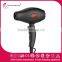 Professional Hair DryerIonic hair dryer Gray hair dryer