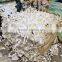 Mattress Material Polyurethane baled scrap bra foam