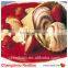 Soft Vanilla Ice Cream Powder Whipping Cream Powder Non Dairy Creamer