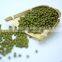 Chinese Green Mung Beans