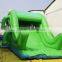 Wonderful Crocodile Inflatable Slide