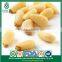 Health Nature Raw Pine Nut Kernels