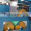 Protective film coating machine