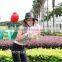 Red Color 7.9 inch Wool Felt Tablet Case Cute Cartoon Pig Bag Tablet Sleeve Tablet Pouch