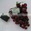holiday decorative battery operated led grape lights
