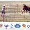 White/black steel horse paddock fence