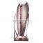 CosBeauty 2016 CE certificated Beauty Transmit Cold Hot hammer for home use, warm&cool beauty device
