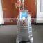Vertical Guangzhou BL Effective Body Slimming Machine Fat Freeze Cryolipolysis Device Local Fat Removal