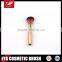 Shiny Golden Facial Makeup Brush Set with 5pcs