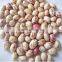 LSKB xinjiang round shape light speckled kidney bans with oval shape