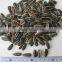 Natural Brand Sunflower Seeds On Sale