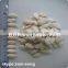 wholesale delicious pumpkin seeds