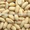 Roasted Salted Blanched Peanuts