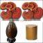 GMP Manufacturer Supply Reishi Mushroom Extract