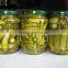 Best selling pickled cucumbers in jar & Gherkins 3-6cm, 480ml - Best quality!