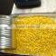 canned style whole kernel sweet corn