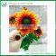 Chrysanthemum Tropical Cut Flowers