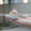 dollhouse simulation breathing sleeping animals toy