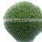 Ulva powder,Alga Ulva Extract Powder