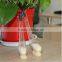 Wholesale bee queen cage/plastic queen bee catcher with low price for Apicoltura