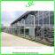High Quality Giant Greenhouse,flower,plant House/large Inflatable Membrane Structures