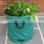 garden planting grow bag