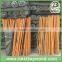 Factory direct sell pvc coated wooden stick,wood stick