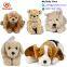 2017 Best Made Soft Toys Dog Custom Plush Toys 25cm Dog Doll Stuffed Animal Toy