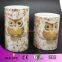 2014 Professional Owl LED Candle