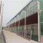 Multi span glass greenhouse for planting