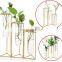 Hydroponics Clear Planter Nordic Style Test Tube Vase with Metal Stand