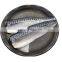 Good Price Frozen Atlantic Mackerel Fish Fillet