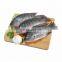 IQF black tilapia fish frozen tilapia fish price Oreochromis Niloticus
