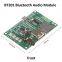 BT201 Bluetooth Audio Module Dual Mode 5.0 Lossless Audio Power Amplifier Board Supports TF Card U Disk BLE SPP UART Transparent Trans Base on KT1025