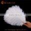 CHINA HX 8-10 inch ostrich feather for sale