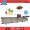 Trade Assurance Broccoli Washing Machinery
