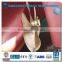 Marine Propeller / Vessel Propeller CPP FPP