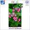 5.0 inch transparent lcd small panel with ILI9806E-2 and high brightness