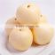 credible china products freshgolden pear