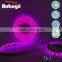 Pink 5050 SMD LED Strip light IP65, flexible LED ribbons light