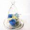 Wholesale Glass Domes, Glass Domes Wholesale