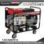 400v Ac 18kw Propane Generator Portable For Banking use