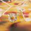 Fine Quality Plated silver Little Daisy Earrings Jewelry Pendant Sunflowers New