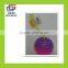 Colorful soft whistle spiky plastic balls(CT9008227)